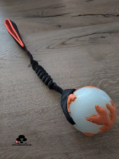 Planet Dog Orbee Tuff Planet Ball "Glow/Orange" Medium avec ZC Bungee