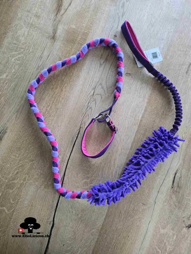 Laisse Agility tressée avec mop et bungee purple, fuchsia